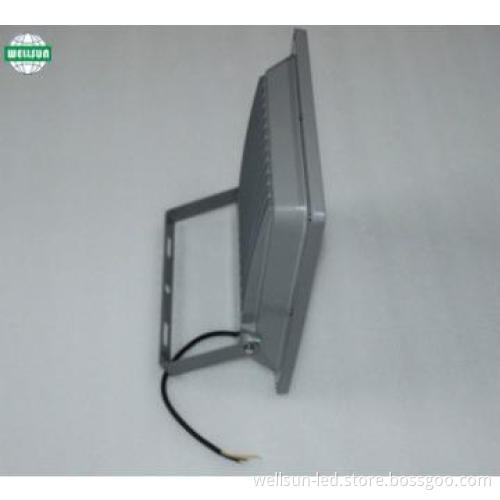 50W IP66 high output LED lamp long lifespan